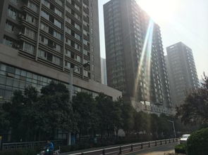 鄭州未來國際項目綜合分析 優(yōu)勢、不足及周邊房產(chǎn)中介評價