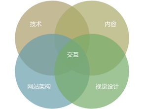 專業(yè)交互設(shè)計(jì)服務(wù) 塑造卓越用戶體驗(yàn)的核心引擎