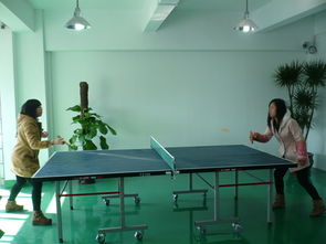 新天會展 專業(yè)設(shè)計(jì)賦能，打造卓越展覽會議體驗(yàn)